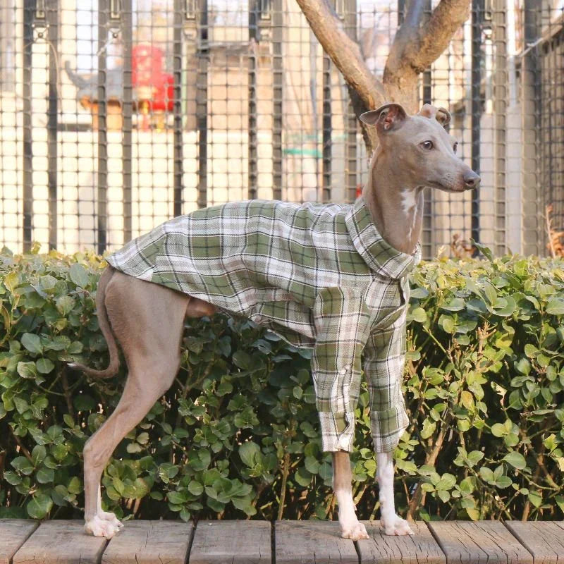 Soft Cotton Plaid Greyhound Shirt