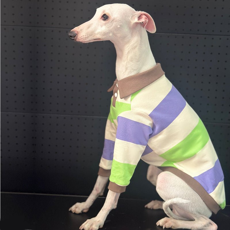 Breathable Cotton Italian Greyhound Polo Shirt