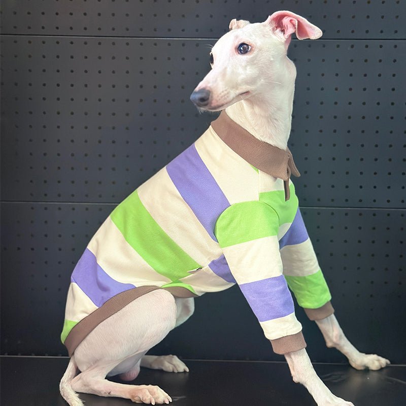 Breathable Cotton Italian Greyhound Polo Shirt