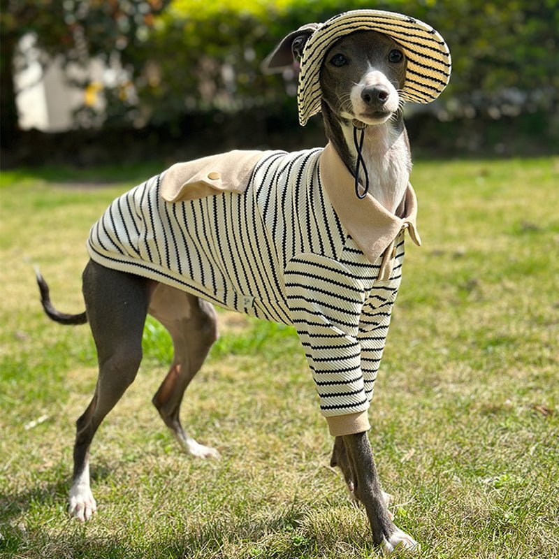 Stylish Summer Cotton Dog Polo Set