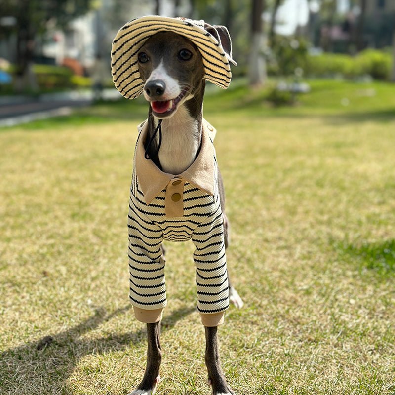 Stylish Summer Cotton Dog Polo Set