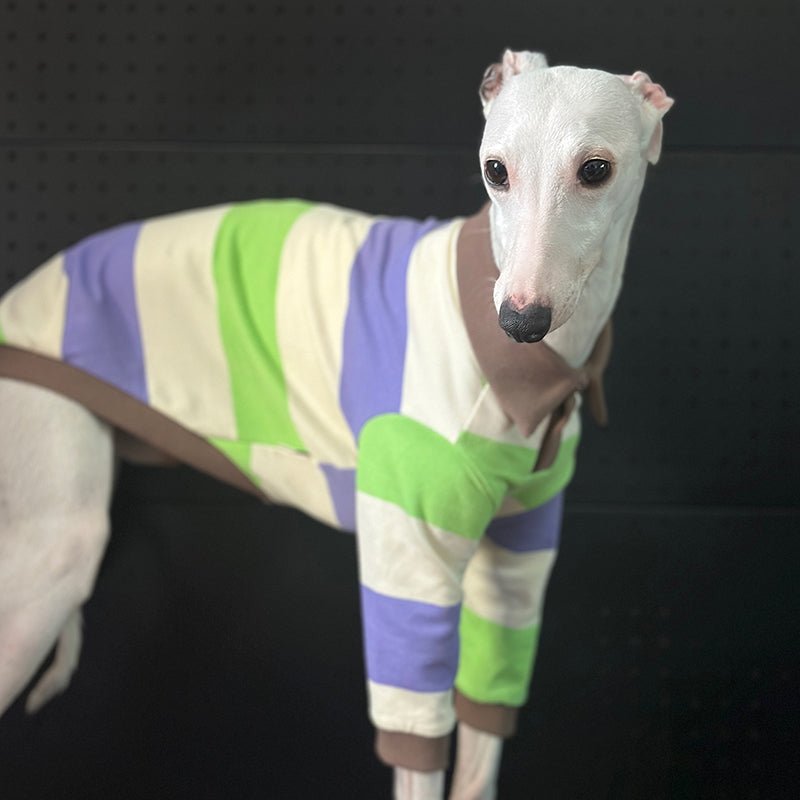 Breathable Cotton Italian Greyhound Polo Shirt