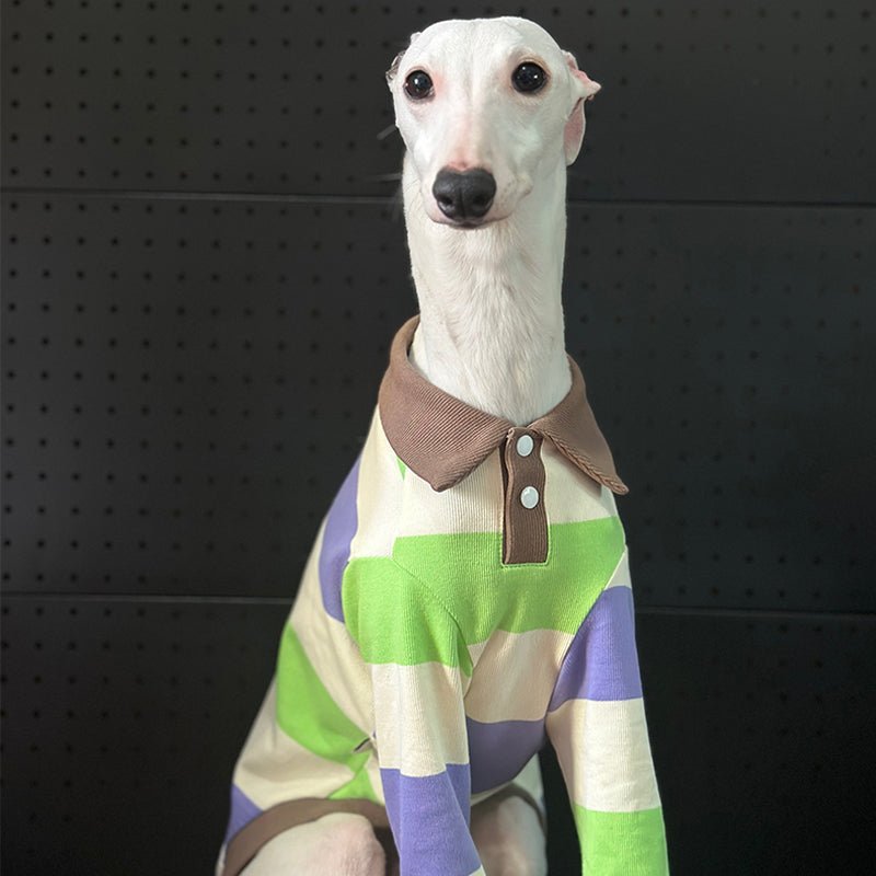 Breathable Cotton Italian Greyhound Polo Shirt