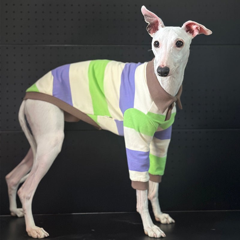 Breathable Cotton Italian Greyhound Polo Shirt