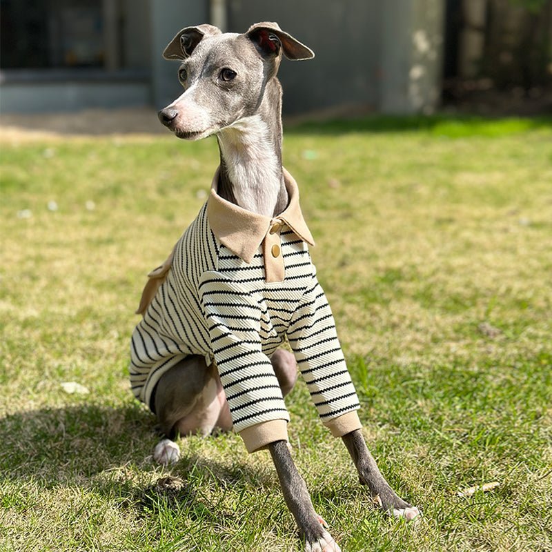 Stylish Summer Cotton Dog Polo Set