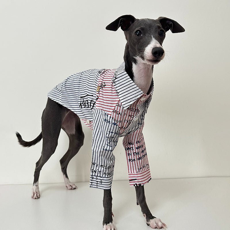 Fashionable Italian Greyhound Cotton Shirt