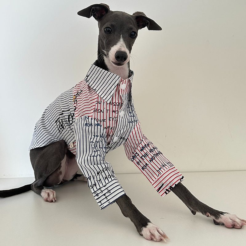 Fashionable Italian Greyhound Cotton Shirt