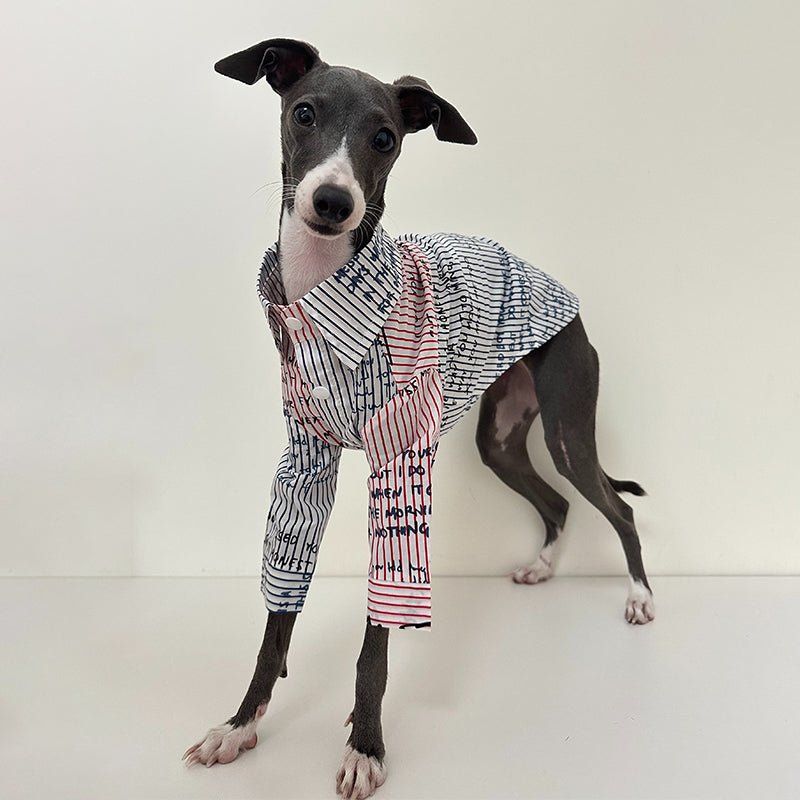 Fashionable Italian Greyhound Cotton Shirt