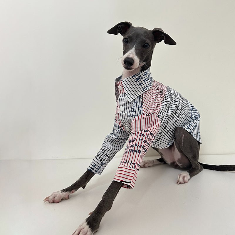 Fashionable Italian Greyhound Cotton Shirt