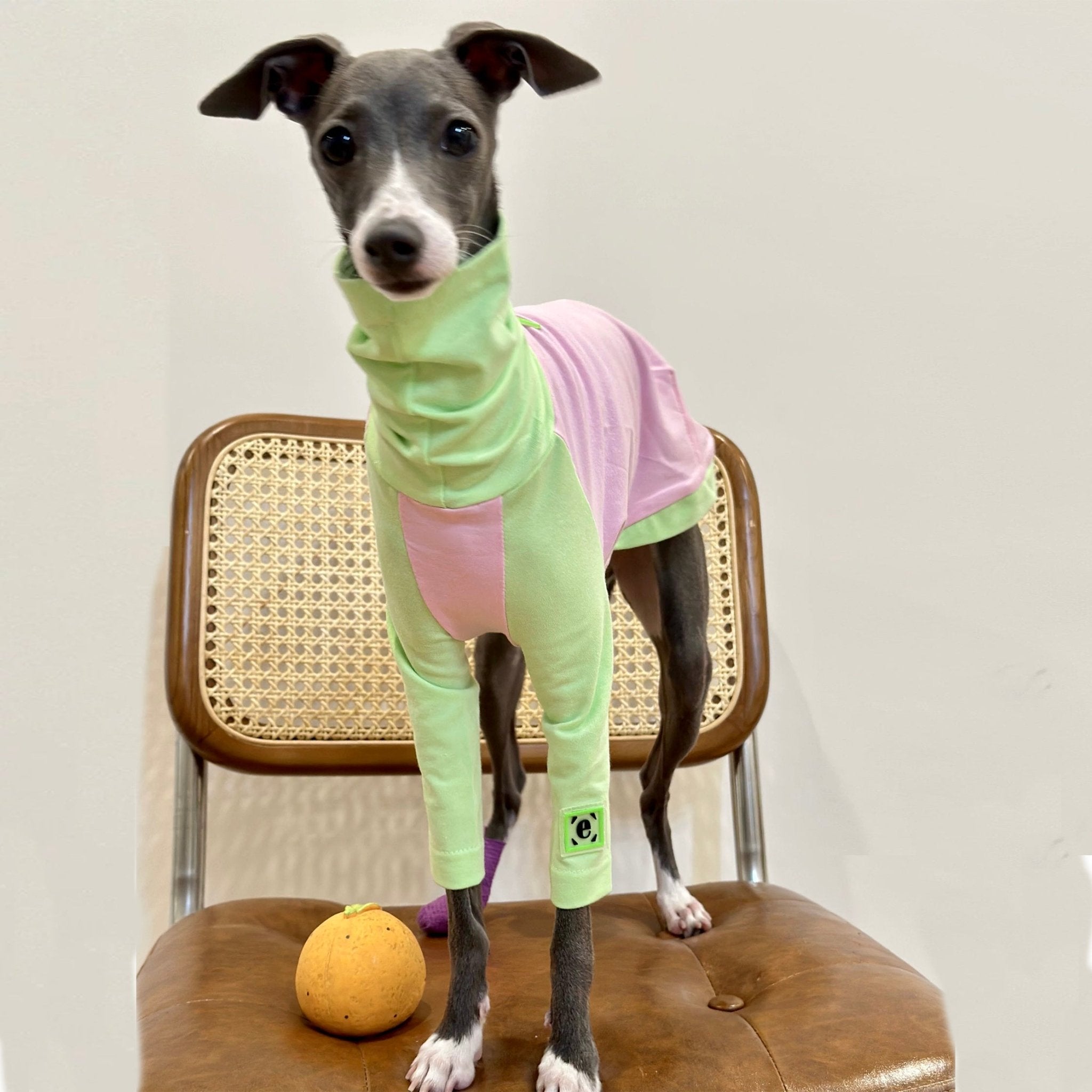 Soft Cotton Italian Greyhound Dog Shirt