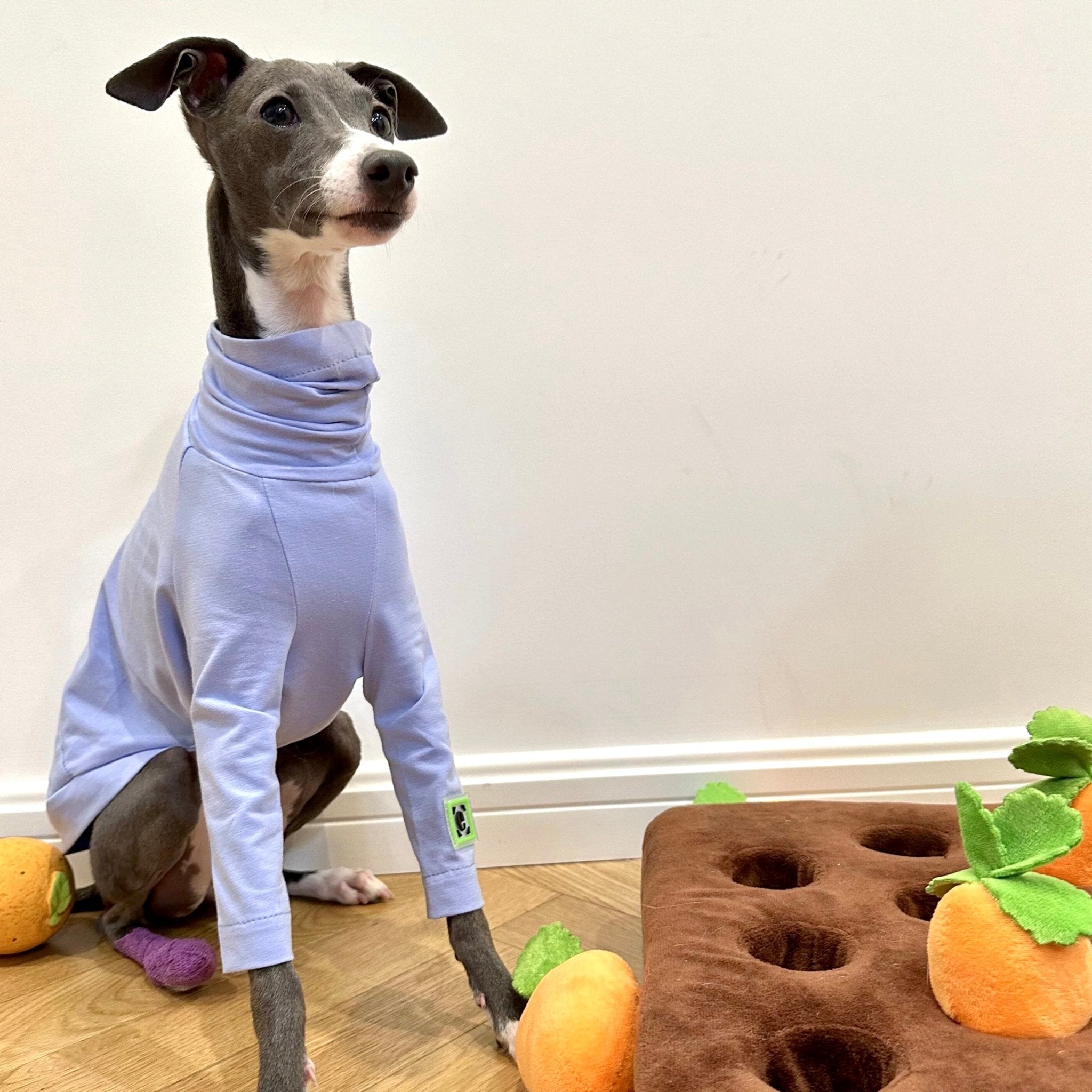 Comfortable Cotton Italian Greyhound T-shirt