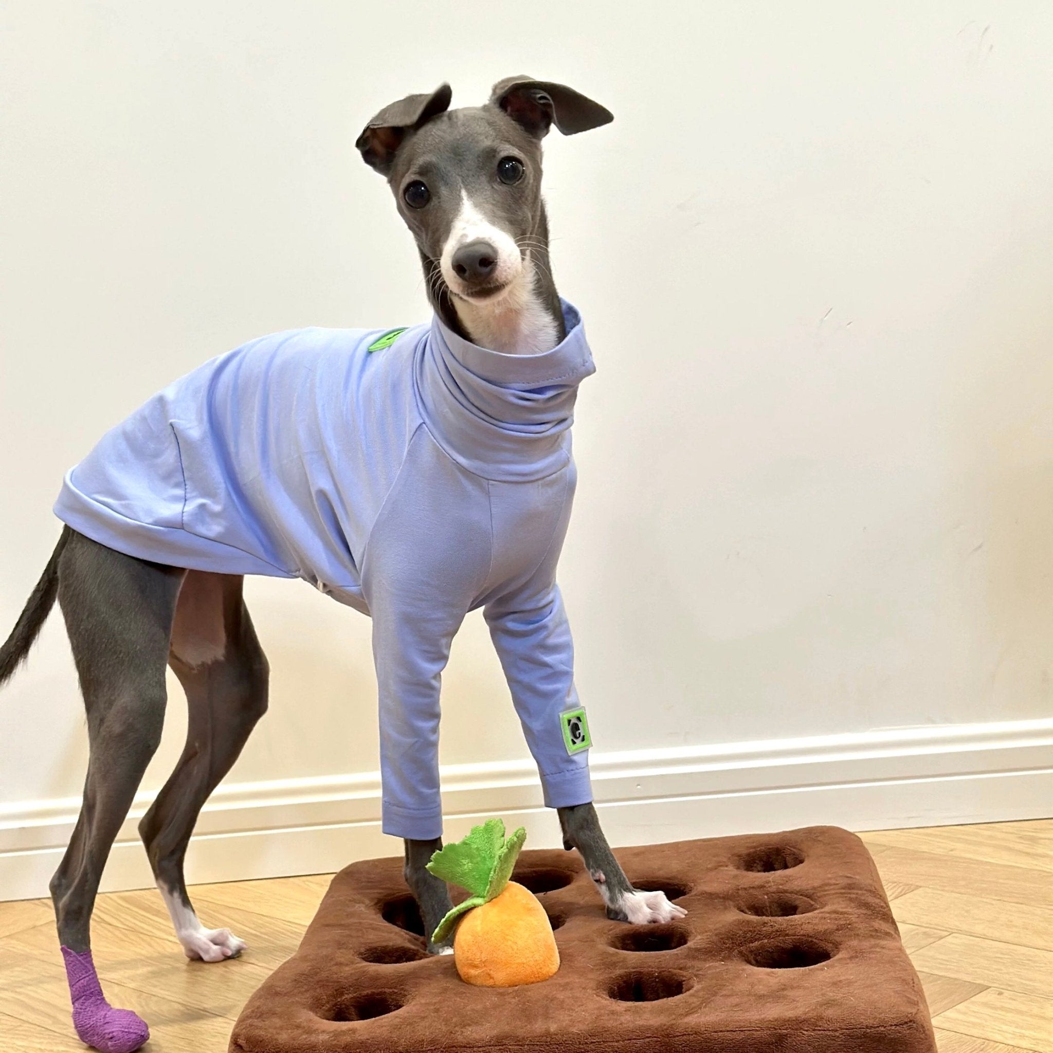 Comfortable Cotton Italian Greyhound T-shirt