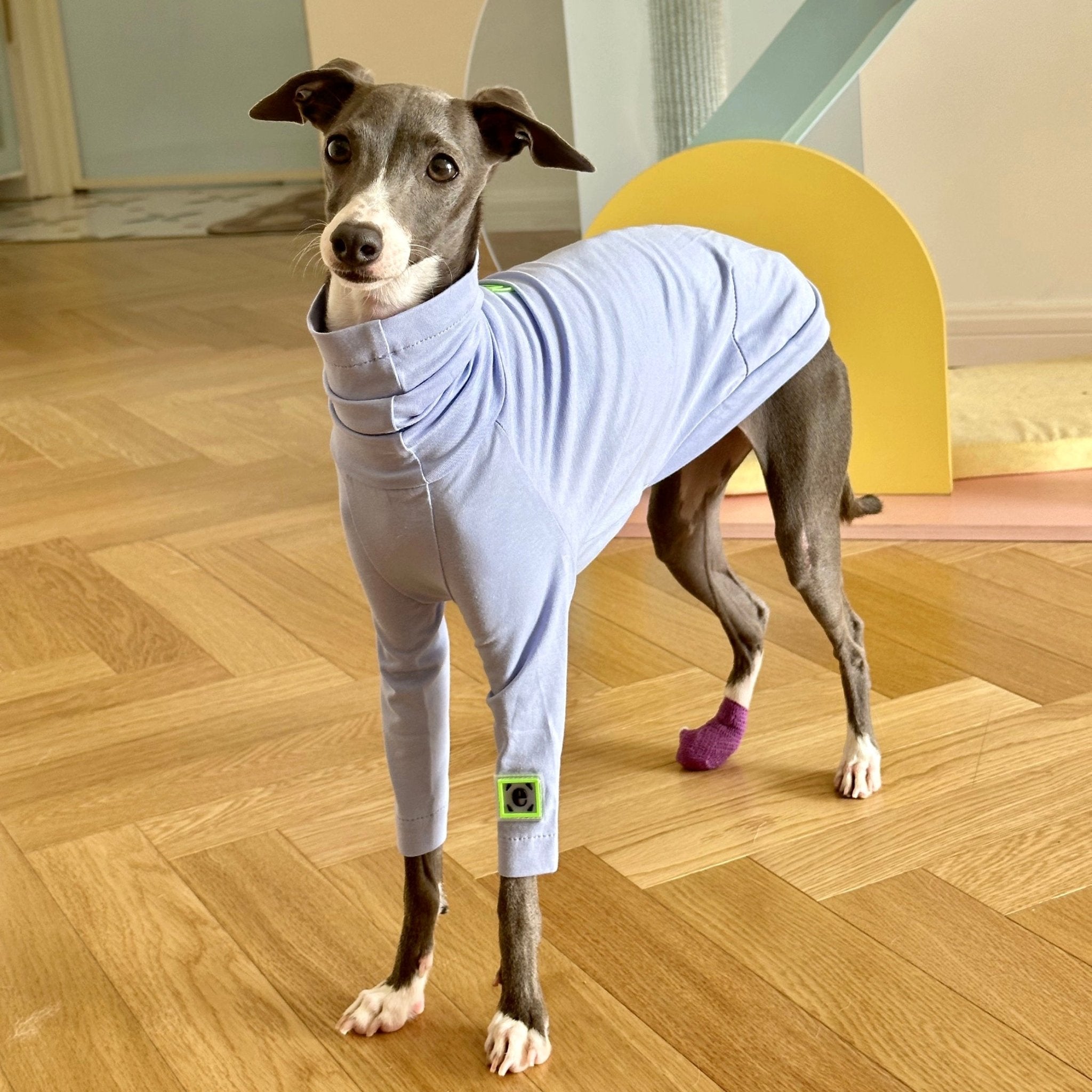 Comfortable Cotton Italian Greyhound T-shirt