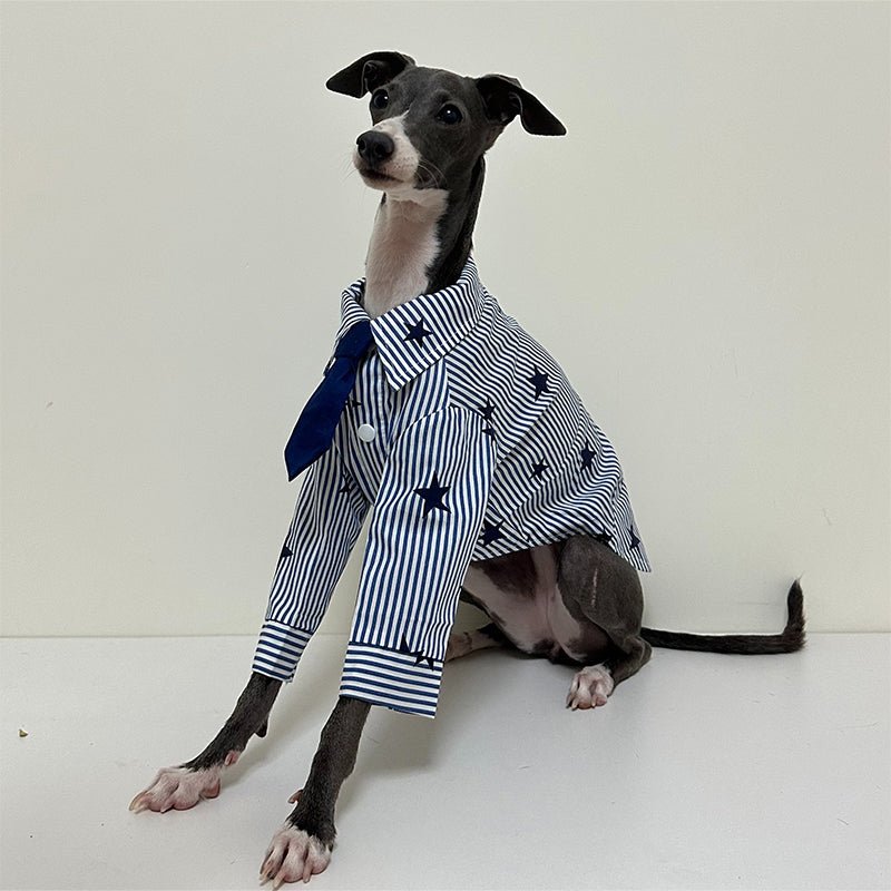 Breathable Cotton Italian Greyhound Shirt