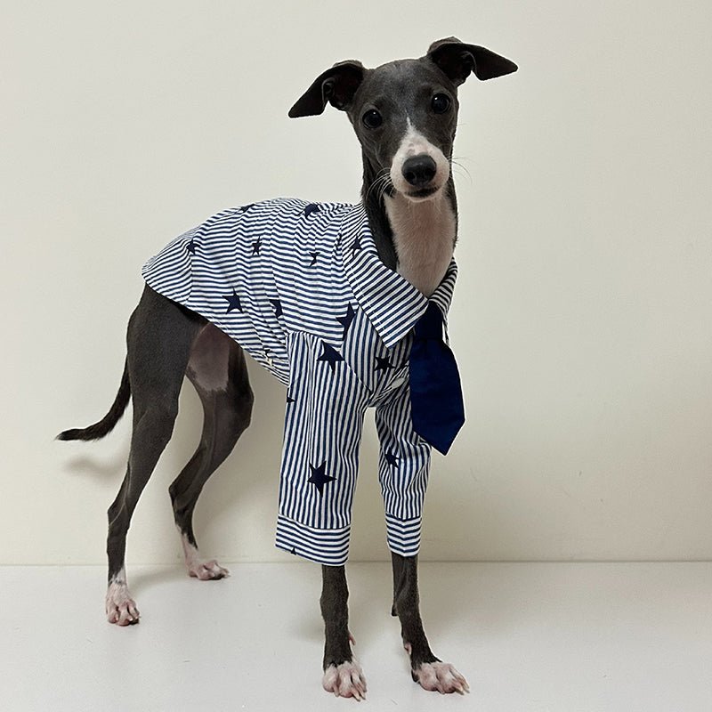 Breathable Cotton Italian Greyhound Shirt