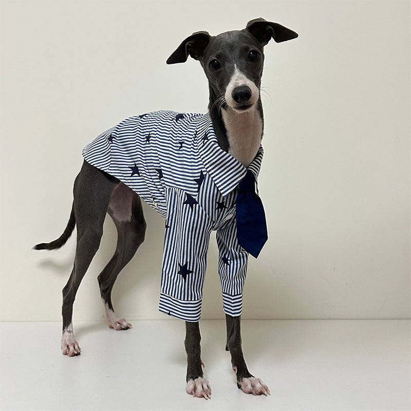 Breathable Cotton Italian Greyhound Shirt