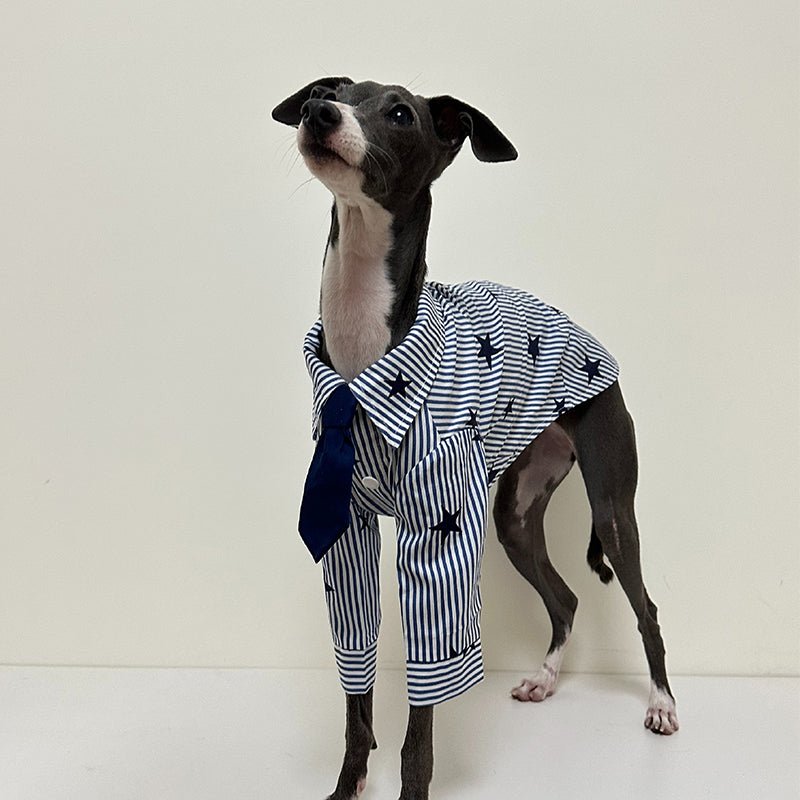 Breathable Cotton Italian Greyhound Shirt
