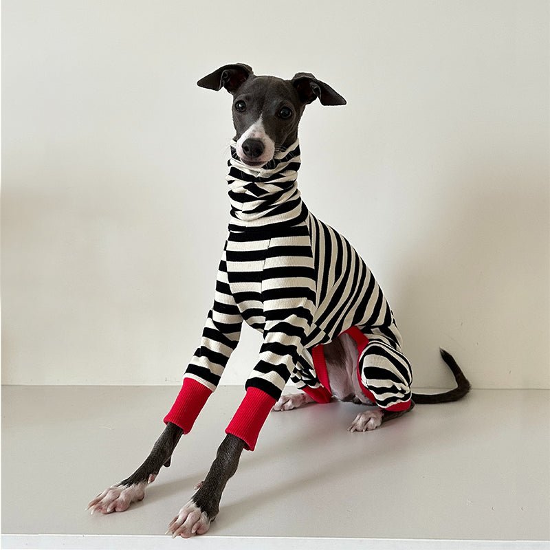 Comfortable Cotton Greyhound Dog Onesie