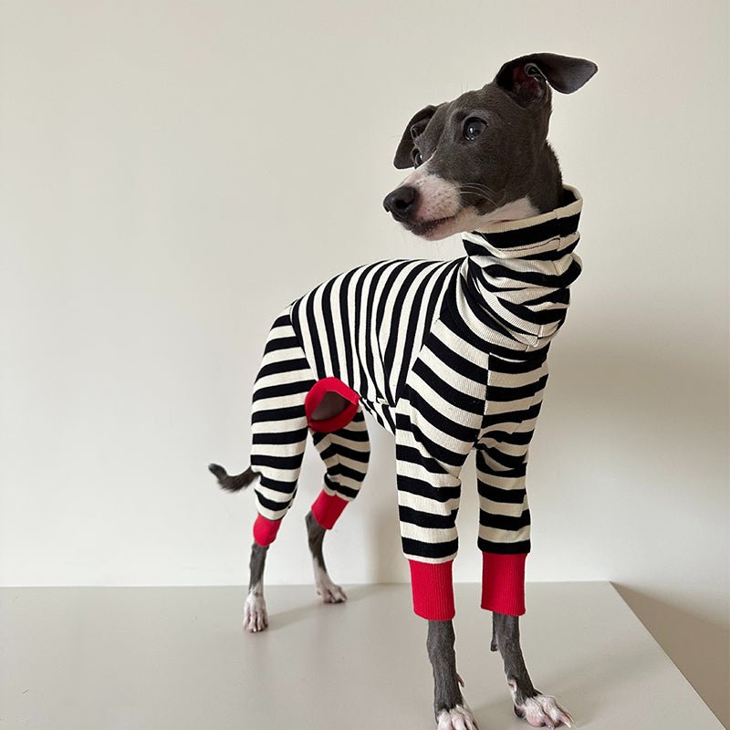 Comfortable Cotton Greyhound Dog Onesie
