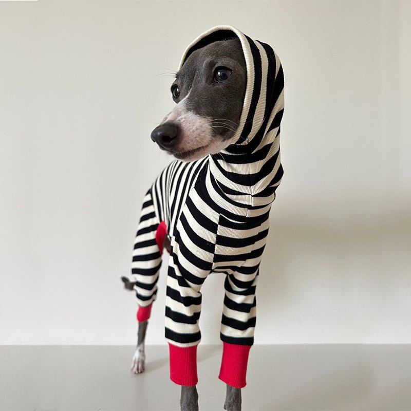 Comfortable Cotton Greyhound Dog Onesie