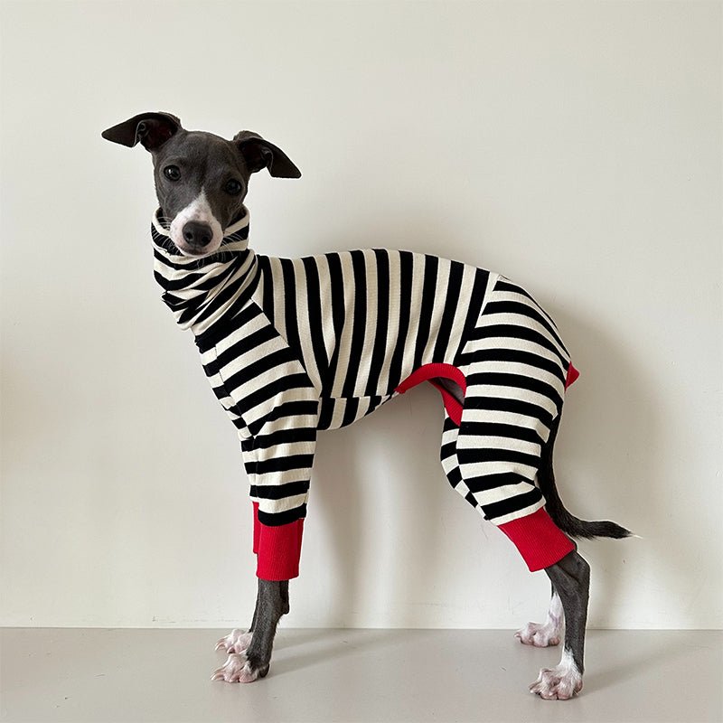Comfortable Cotton Greyhound Dog Onesie