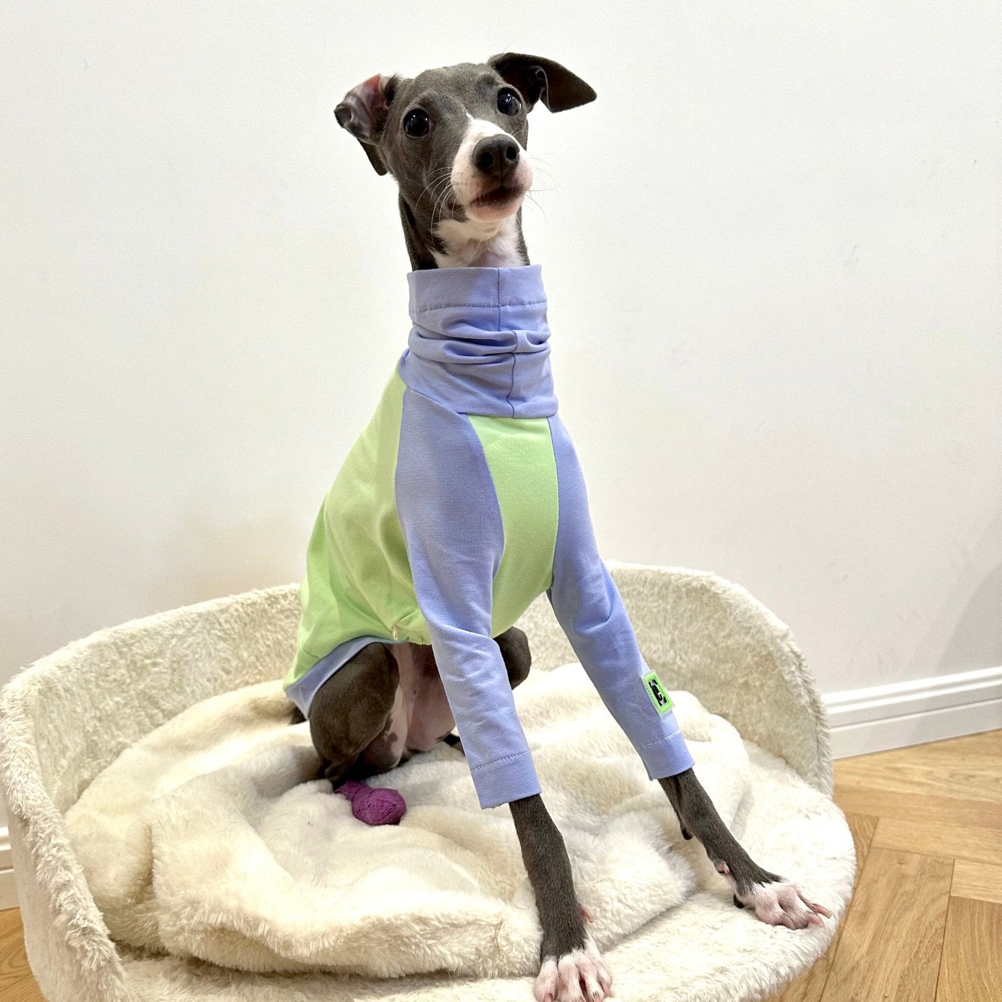 Comfortable Cotton Italian Greyhound T-shirt
