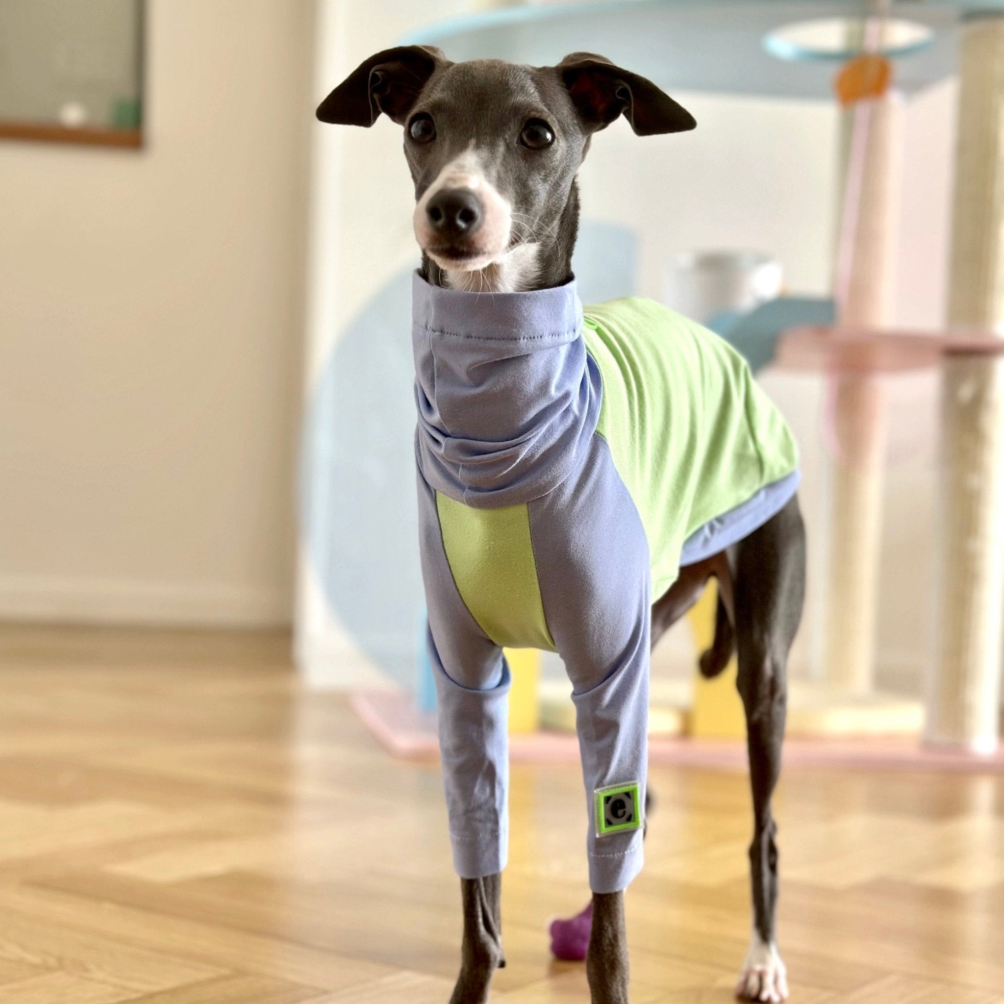 Comfortable Cotton Italian Greyhound T-shirt