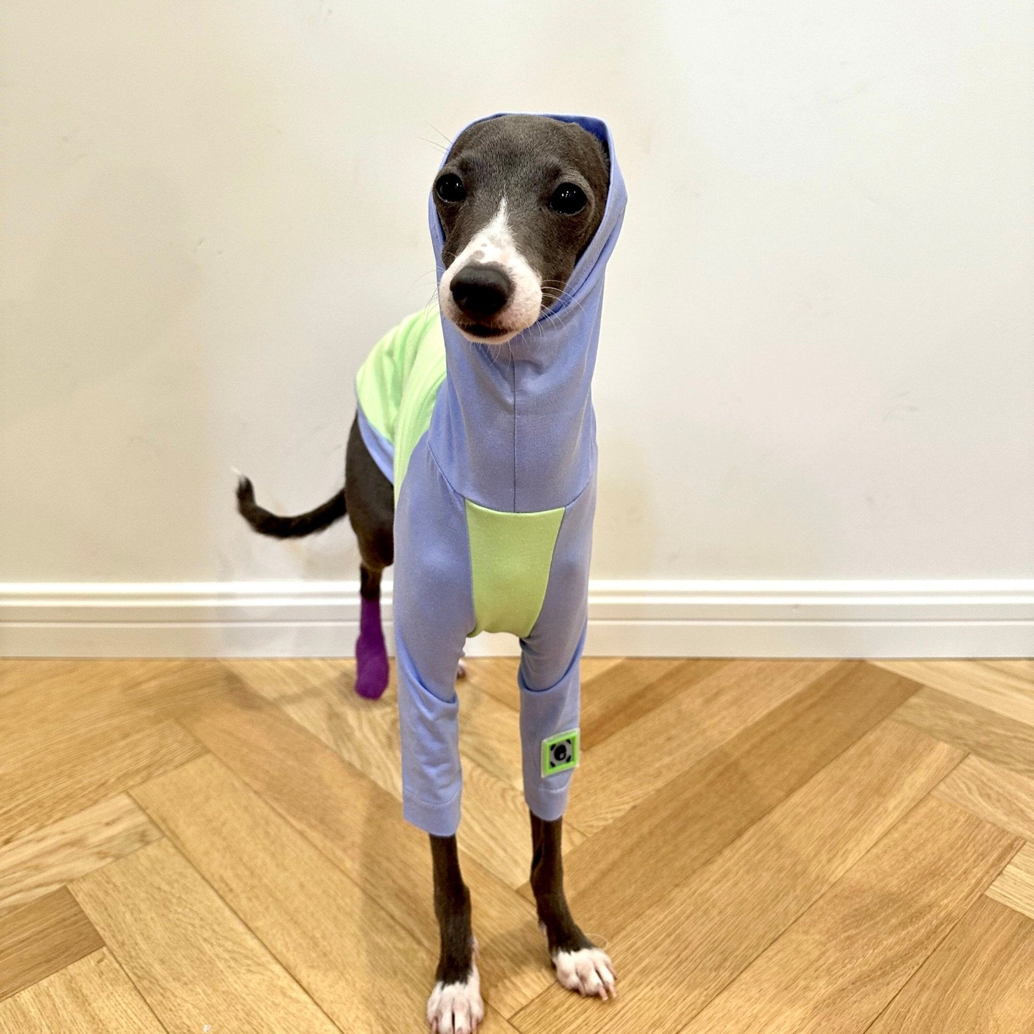 Comfortable Cotton Italian Greyhound T-shirt