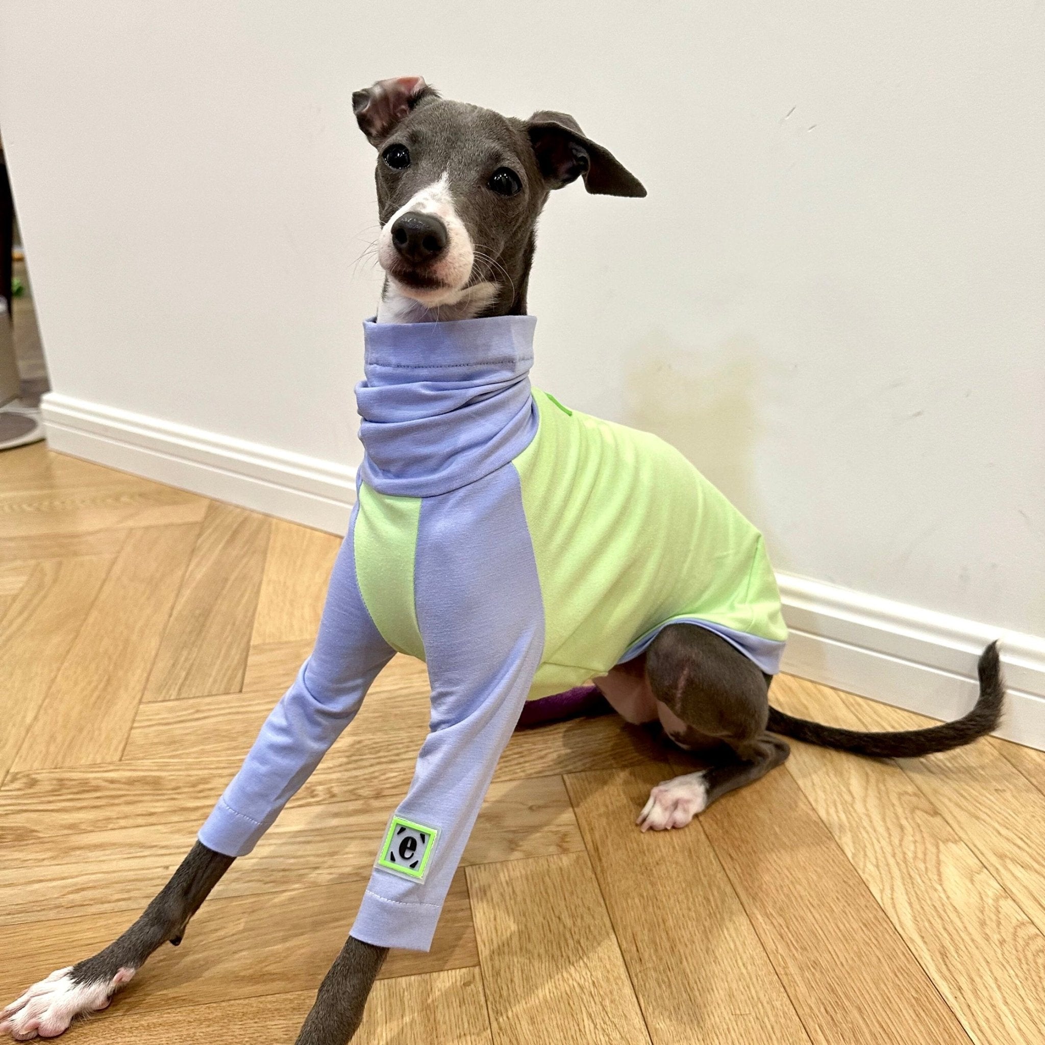Comfortable Cotton Italian Greyhound T-shirt