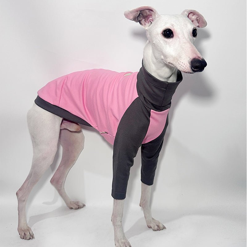 Comfortable Cotton Italian Greyhound Tee