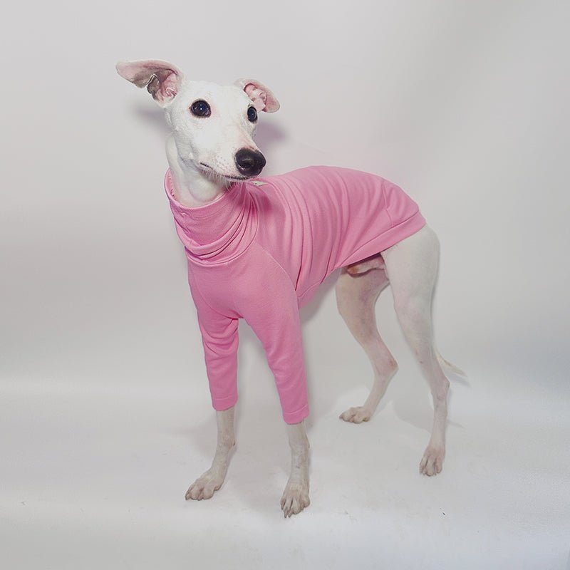Comfortable Cotton Italian Greyhound Tee