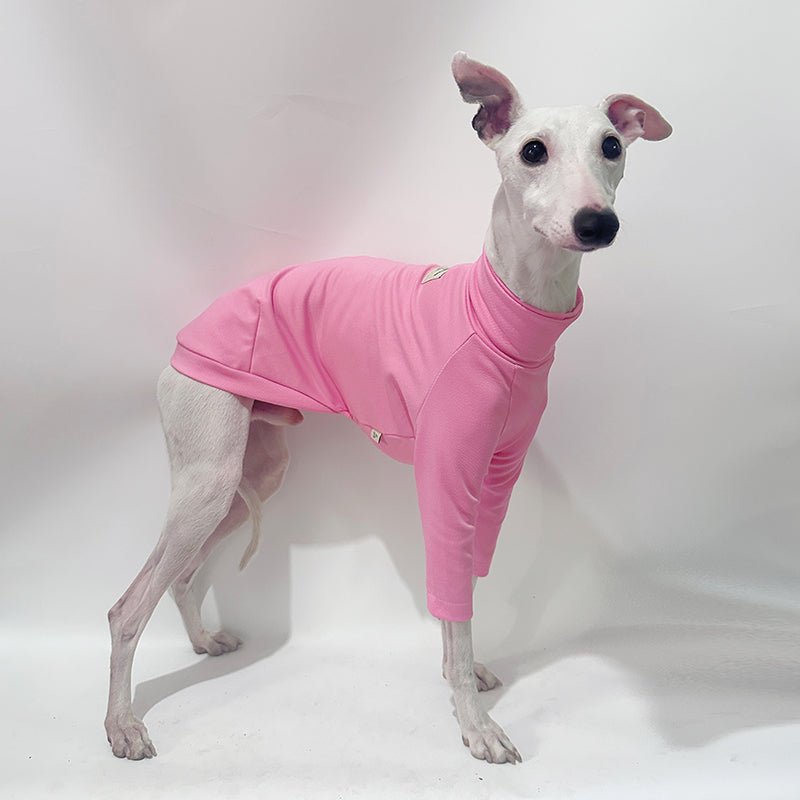 Comfortable Cotton Italian Greyhound Tee
