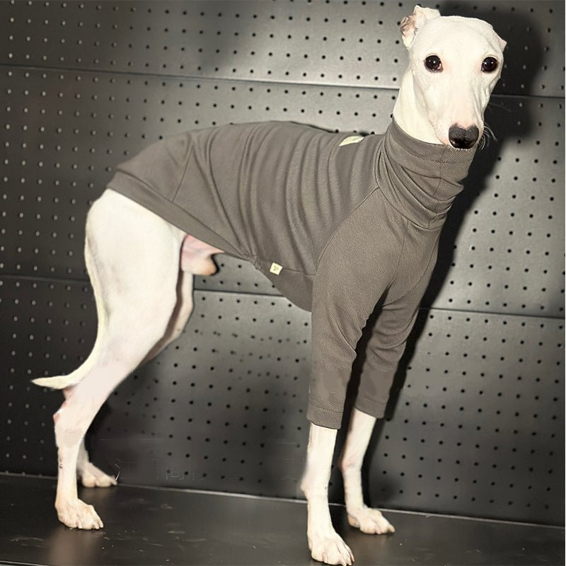 Comfortable Cotton Italian Greyhound Dog Tee