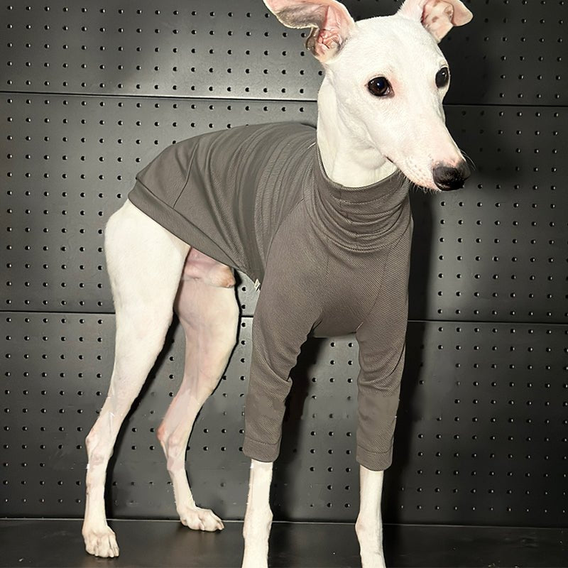 Comfortable Cotton Italian Greyhound Dog Tee