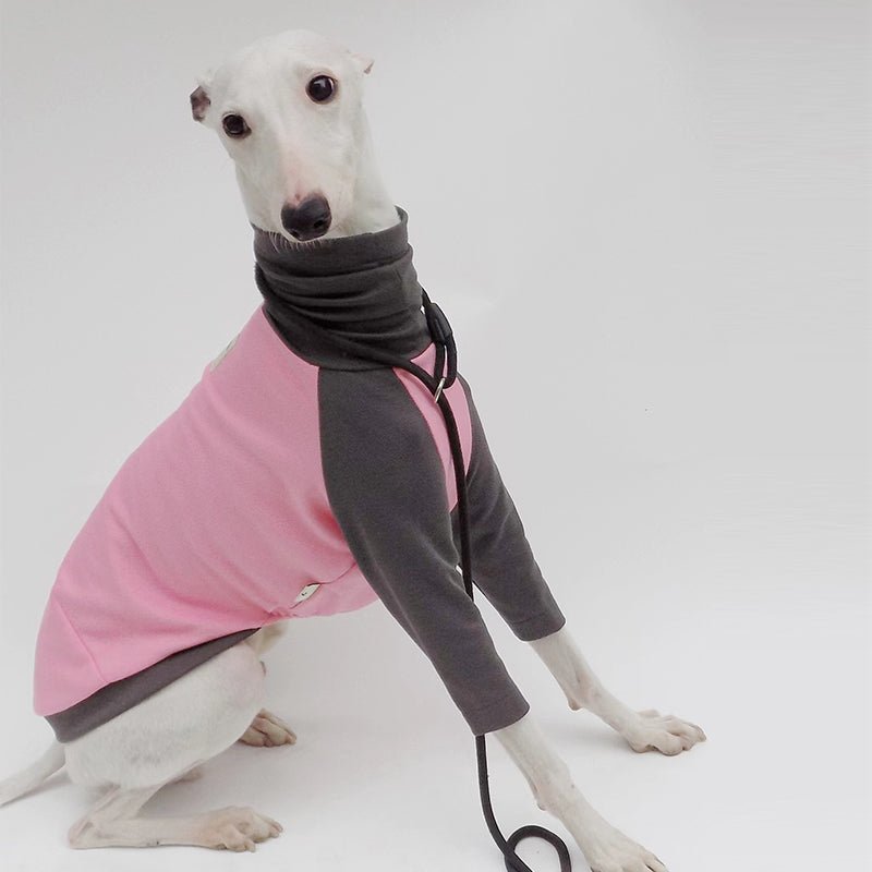 Comfortable Cotton Italian Greyhound Tee