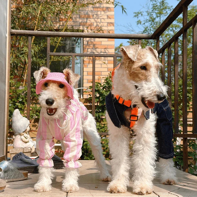 Breathable Cooling Italian Greyhound Shirt