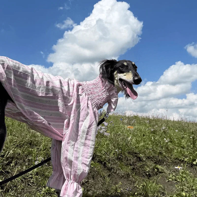 Breathable Cooling Italian Greyhound Shirt