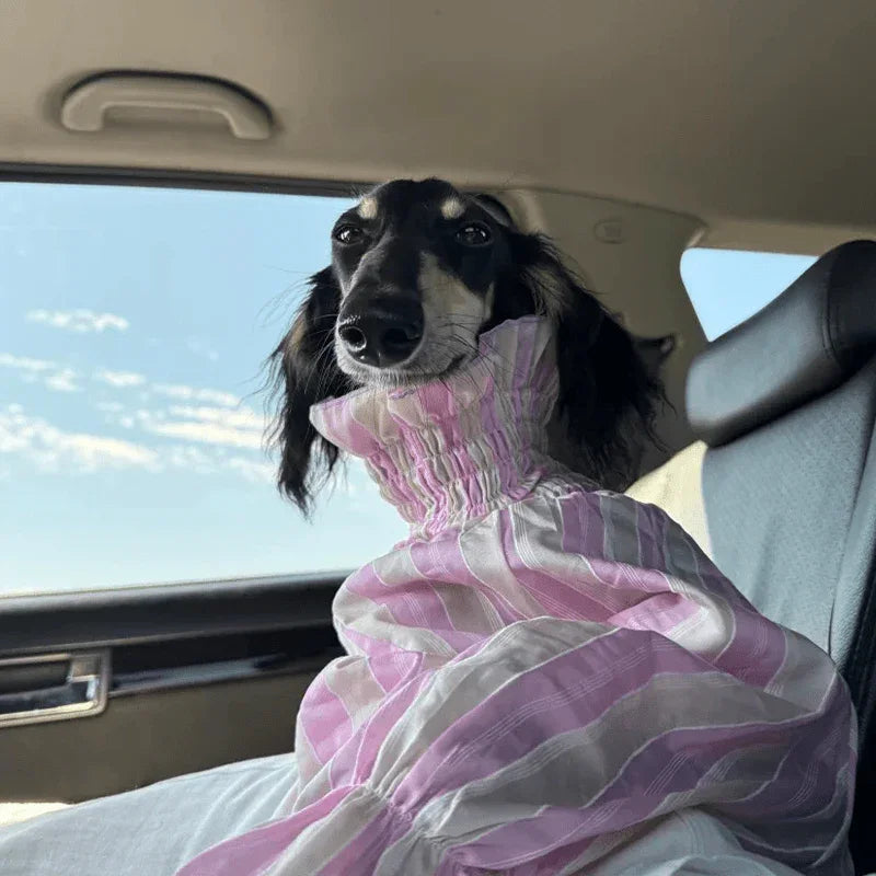 Breathable Cooling Italian Greyhound Shirt