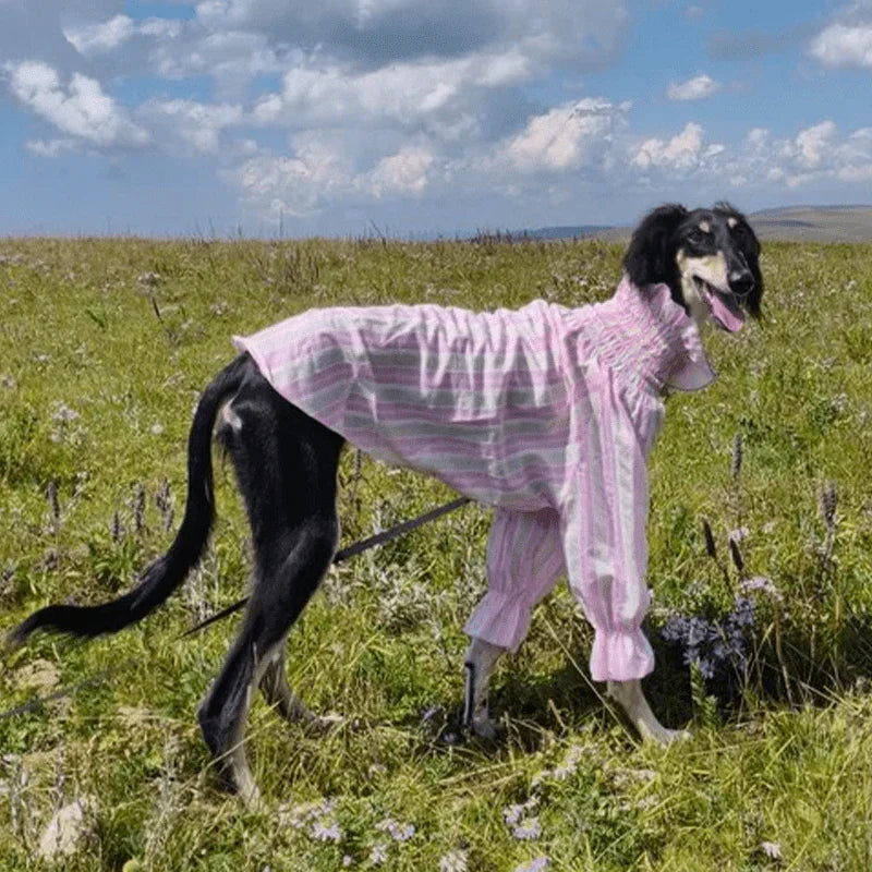 Breathable Cooling Italian Greyhound Shirt