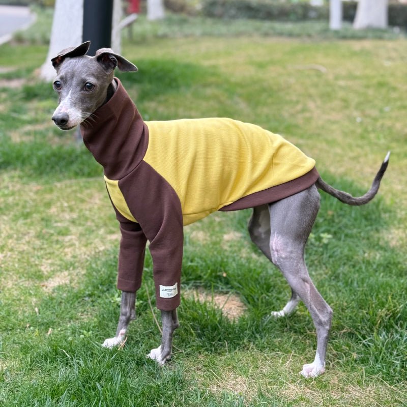 Grass Resistant Italian Greyhound Cotton Shirts