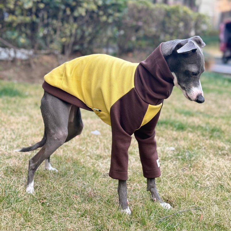Grass Resistant Italian Greyhound Cotton Shirts