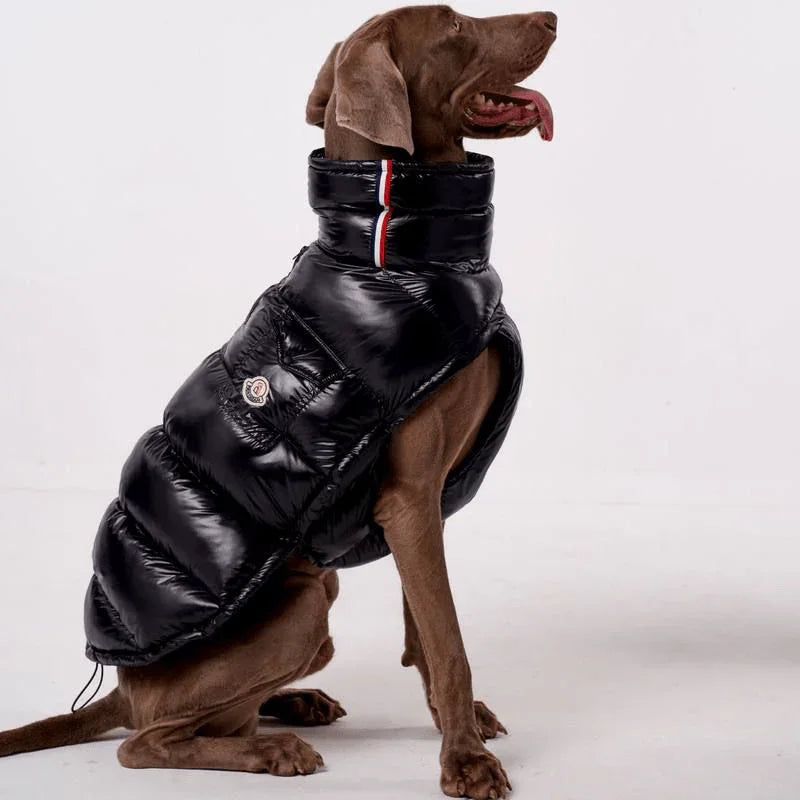 Windproof Warm Dog Fleece Vest