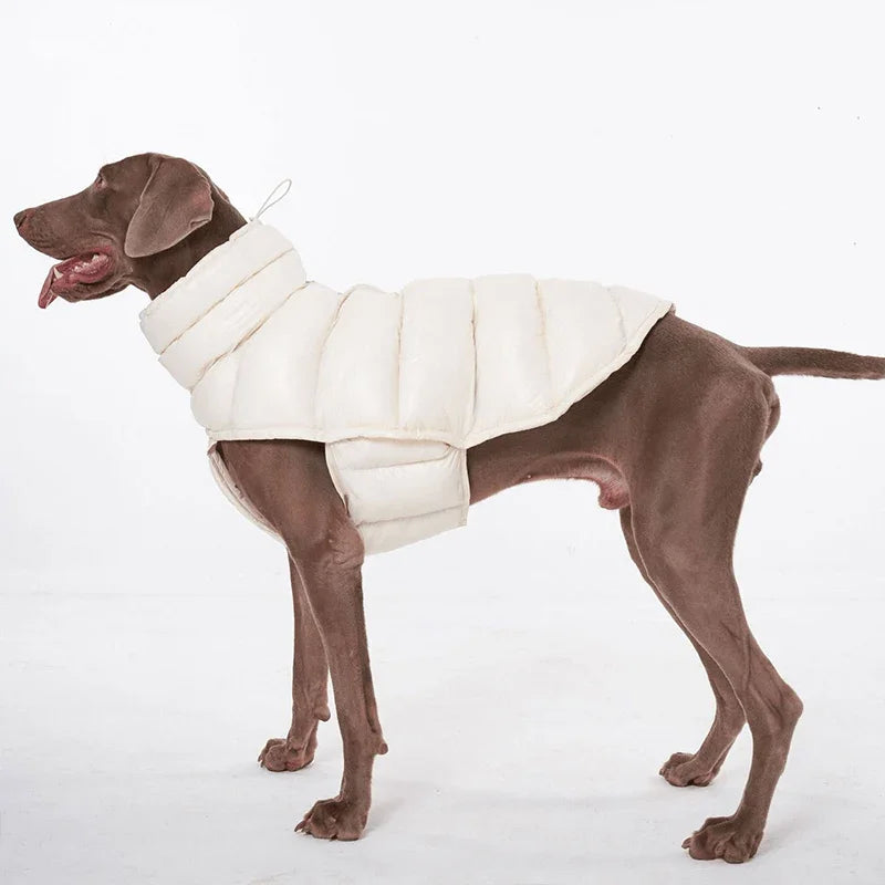 Windproof Warm Dog Fleece Vest