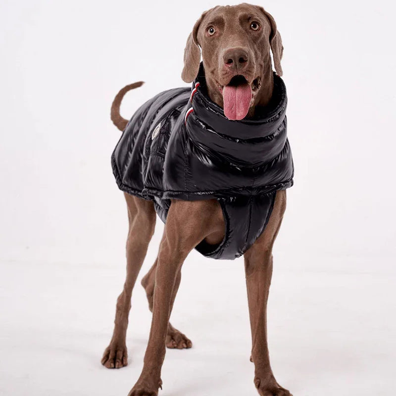 Windproof Warm Dog Fleece Vest