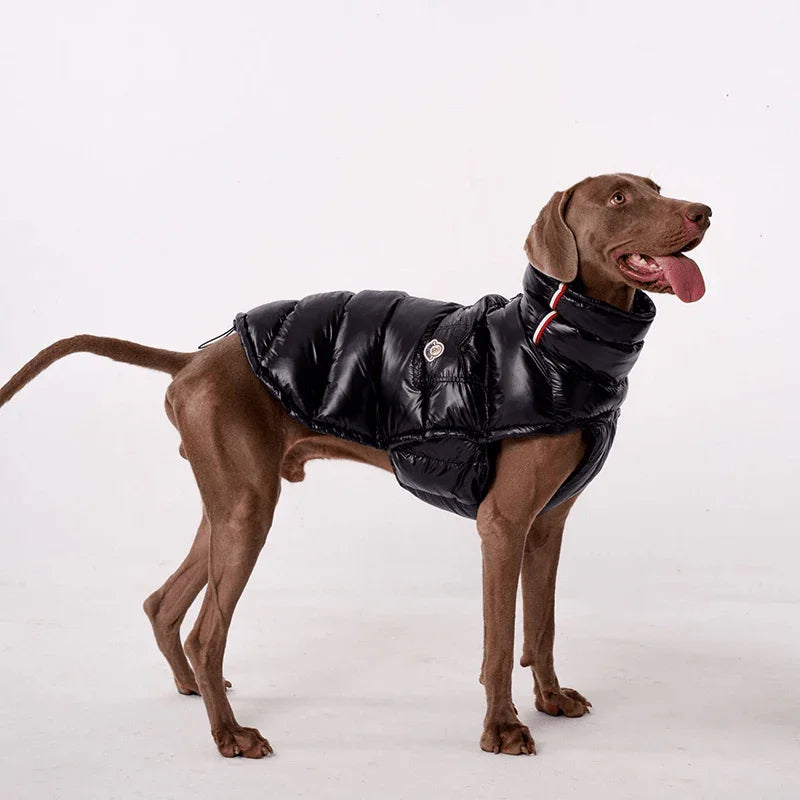 Windproof Warm Dog Fleece Vest