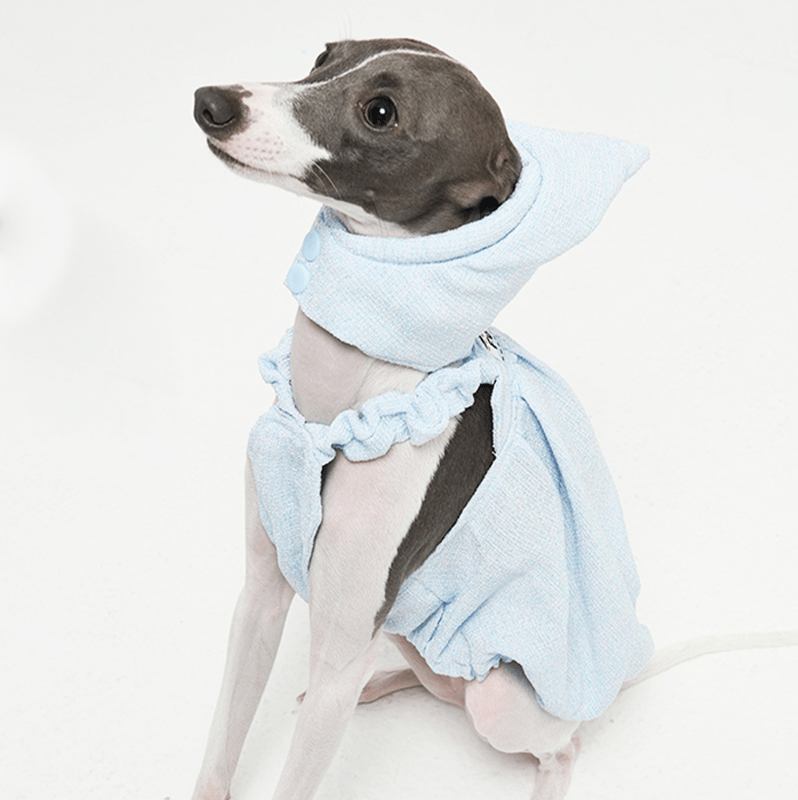 Adorable Bubble Skirt Dog Clothes Italian Greyhound