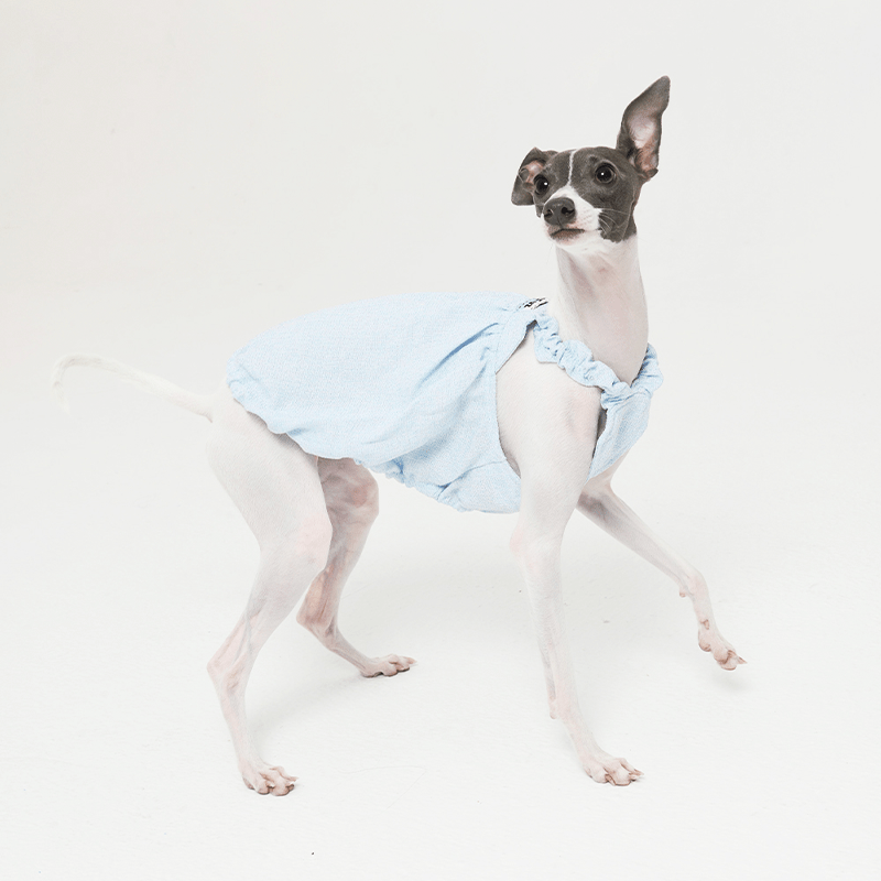 Adorable Bubble Skirt Dog Clothes Italian Greyhound