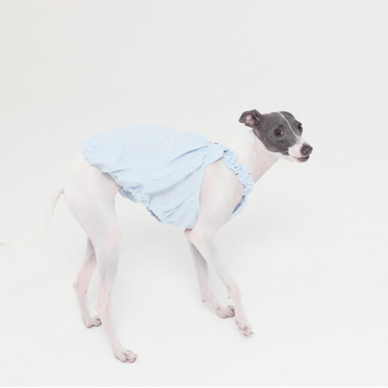 Adorable Bubble Skirt Dog Clothes Italian Greyhound