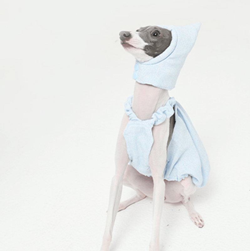 Adorable Bubble Skirt Dog Clothes Italian Greyhound