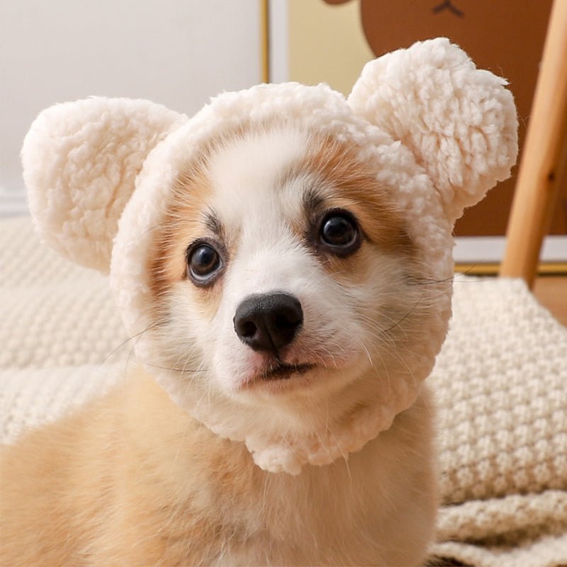 Warm Plush Bunny Ear Dog Hat